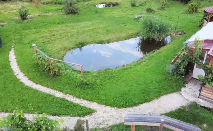 planning your natural swimming pool