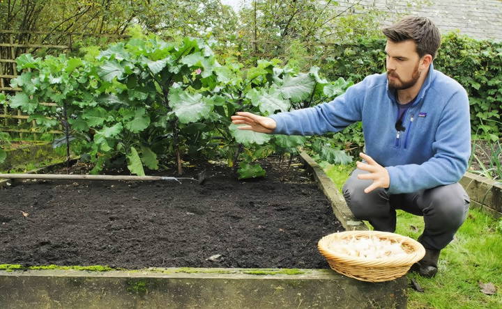 preparing the planting bed