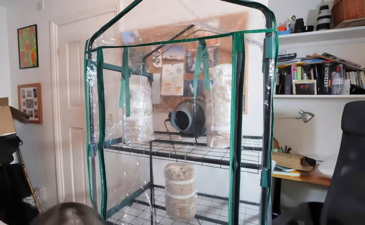 setting up the fruiting chamber