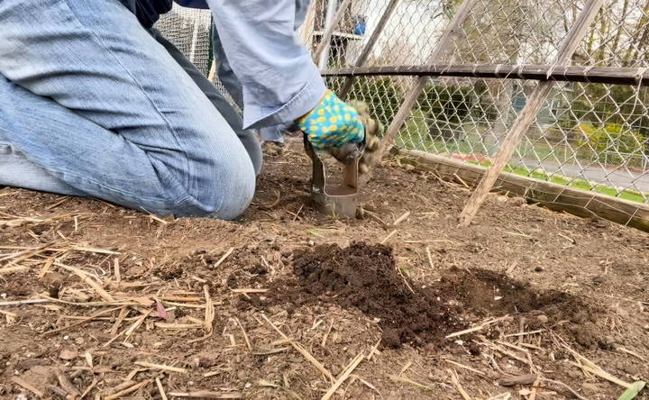 stabilizing the trellis