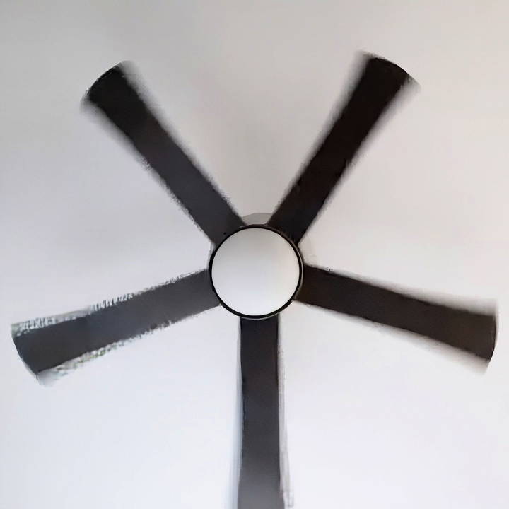 ceiling fan direction in summer and winter