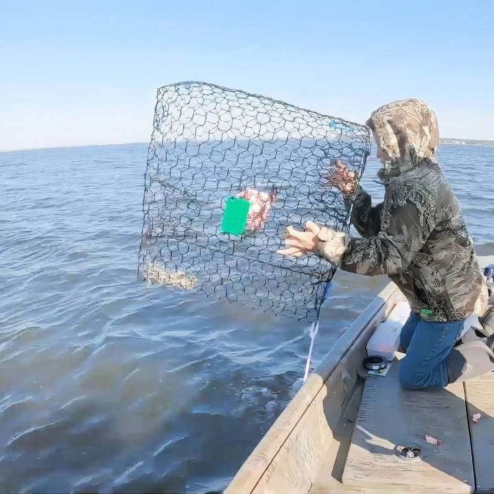 cheap and easy diy crab traps