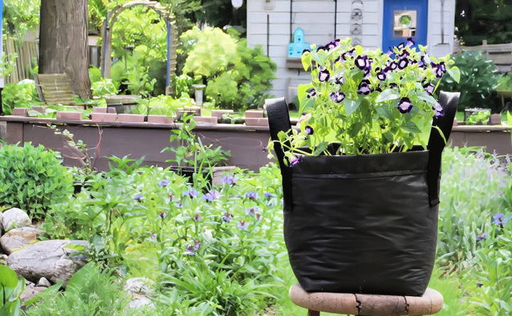 cheap and easy diy grow bags