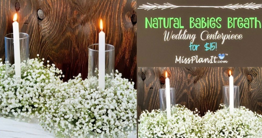 Make a DIY Baby's Breath Centerpiece in Minutes