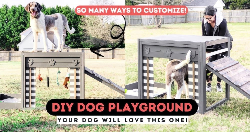 Easy DIY Dog Playground to Build