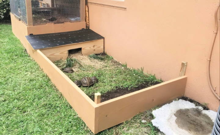 how to make a sulcata tortoise enclosure