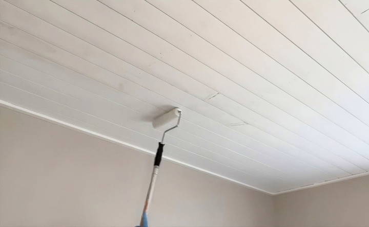 paint the popcorn ceiling