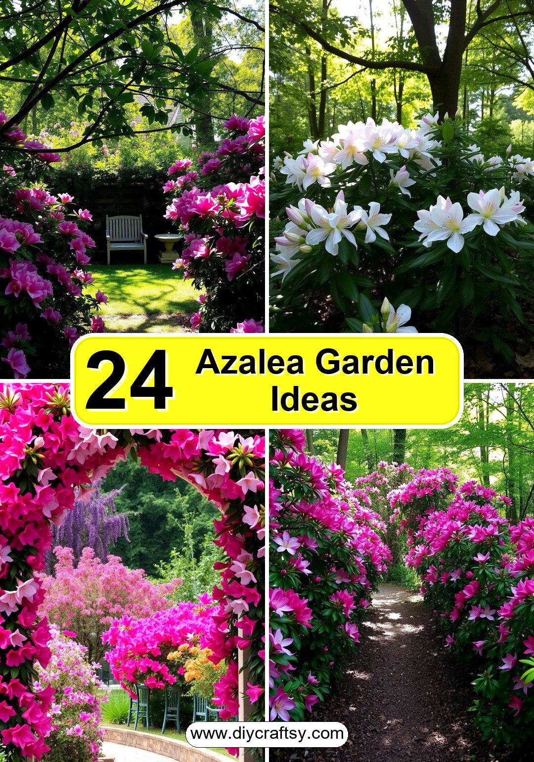Azalea Garden Ideas