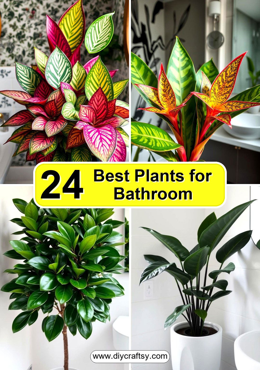 Best Plants for Bathroom