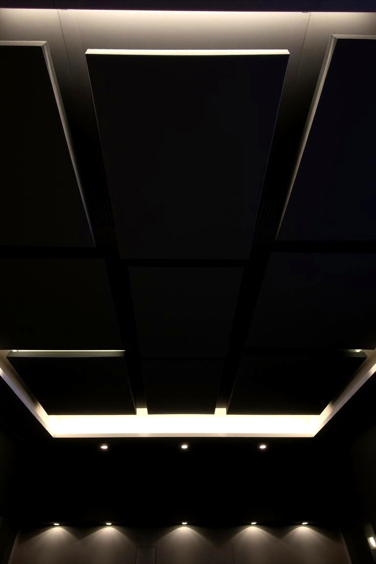 Black Acoustic Panel Installation - 24 Black Ceiling Design Ideas