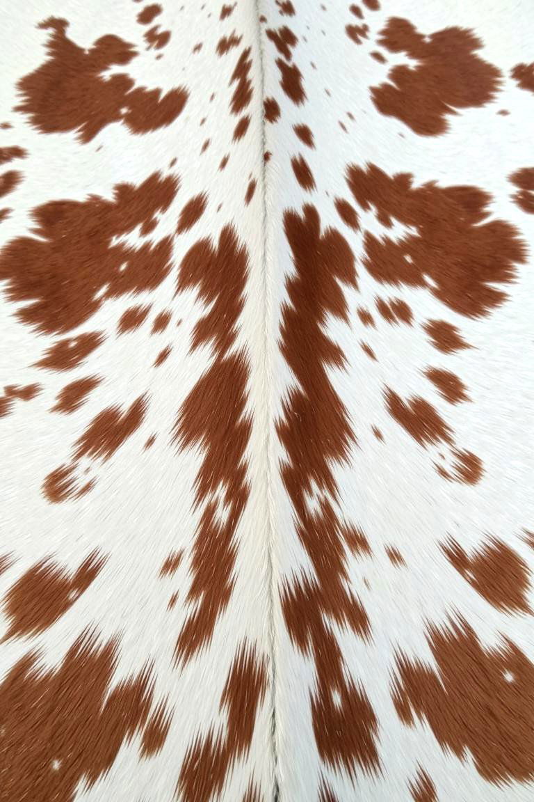 Cowhide Rugs - 24 Western Decor Ideas