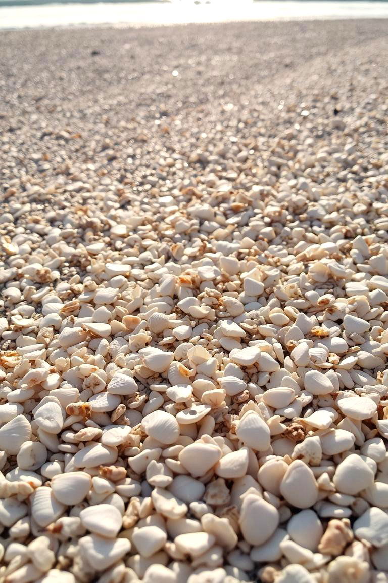 Crushed Shell Pathway - 24 Farmhouse Walkway Ideas