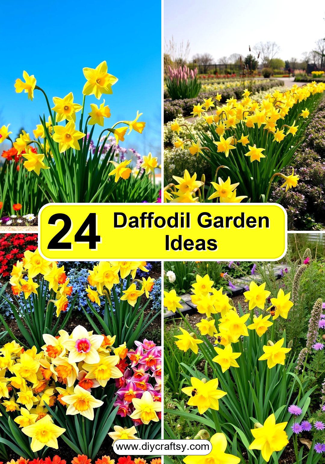 Daffodil Garden Ideas
