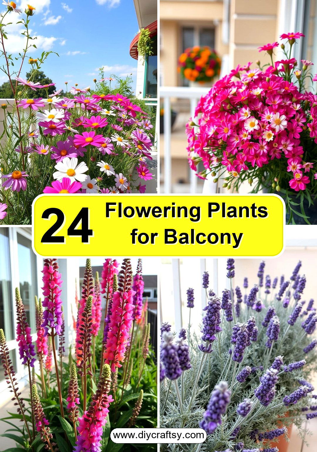Flowering Plants for Balcony