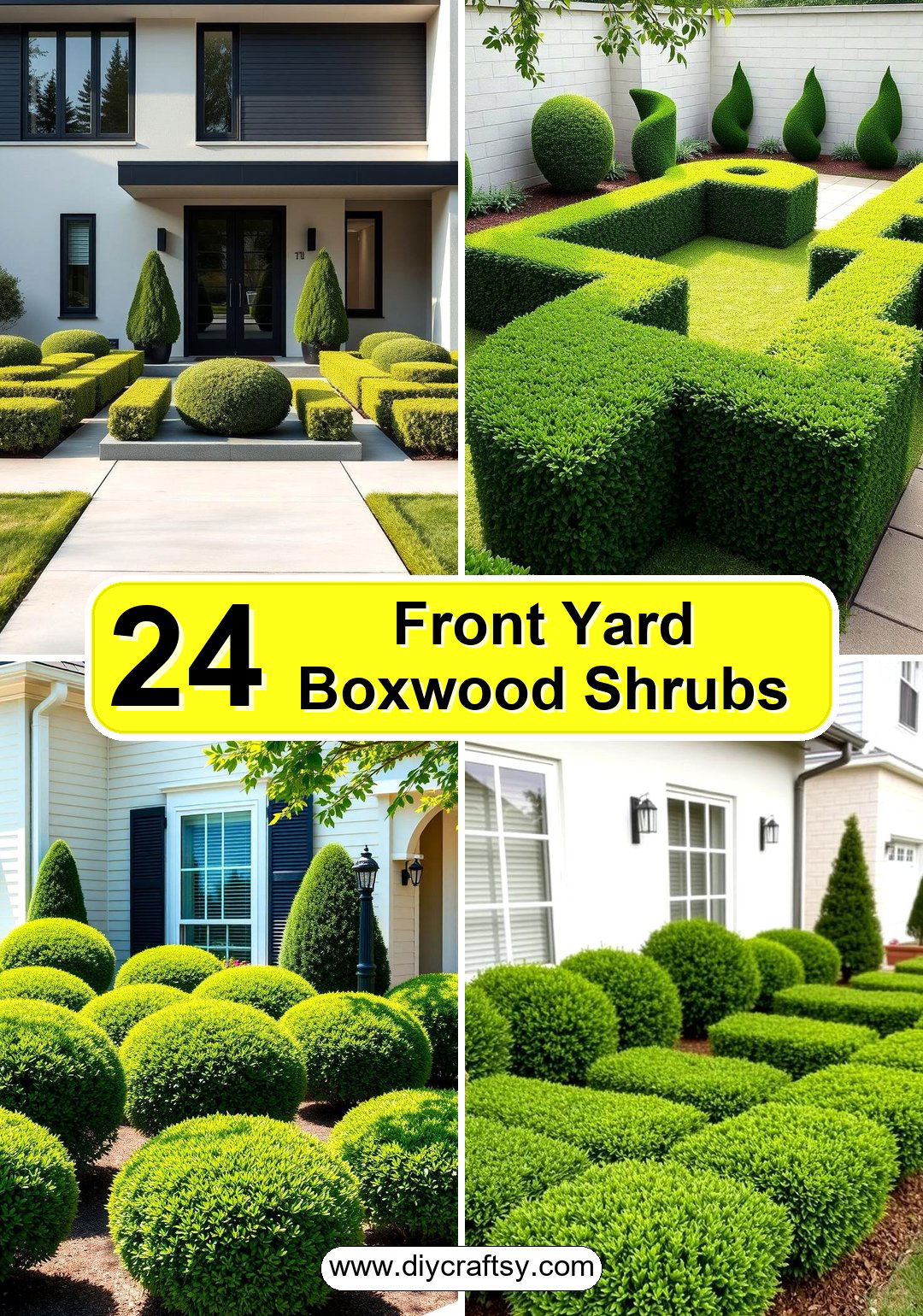 Front Yard Boxwood Shrubs