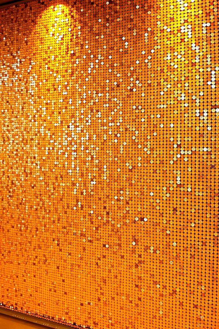 Glamorous Sequin Wall - 24 Wedding Backdrop Ideas