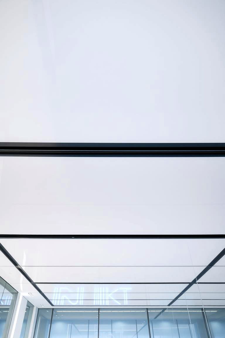 High Gloss Finish Ceiling - 24 Ceiling Paint Ideas