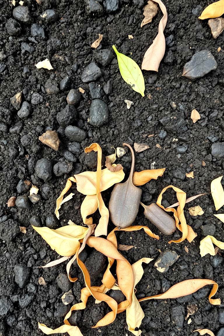 Improve Soil Health with Organic Matter - 24 Xeriscape Ideas