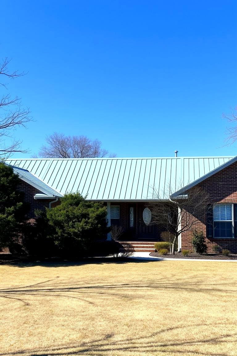 Increased Home Value - 24 houses with blue metal roofs