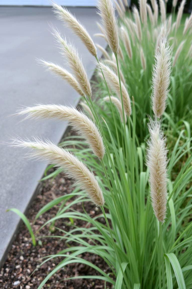 Integrate Ornamental Grasses - 24 Driveway Landscape Ideas