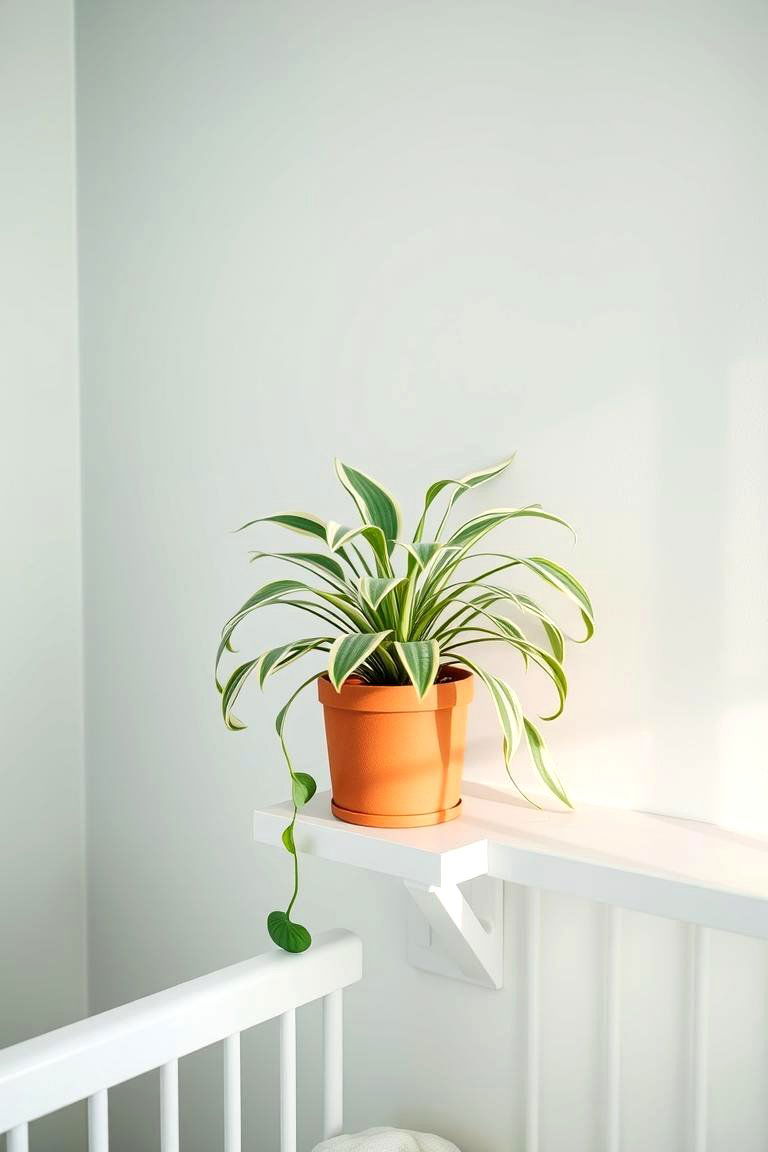 Introduce Air Purifying Indoor Plants - 24 Green Nursery Ideas