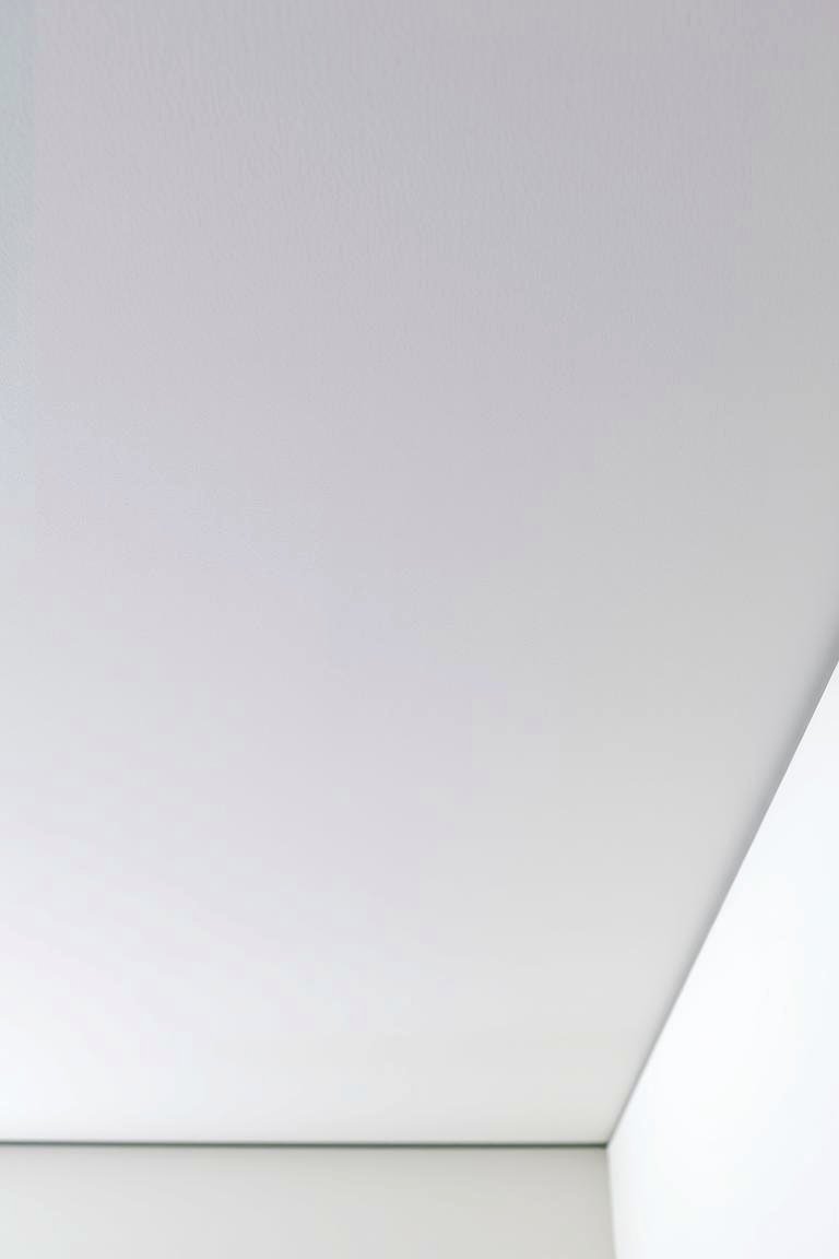 Matte Finish Ceiling - 24 Ceiling Paint Ideas