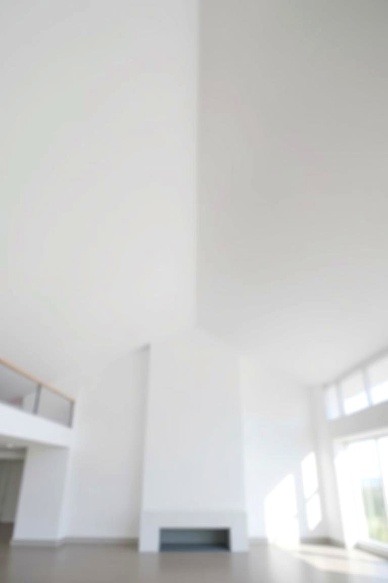 Minimalist White Vault - 24 Vaulted Ceiling Ideas