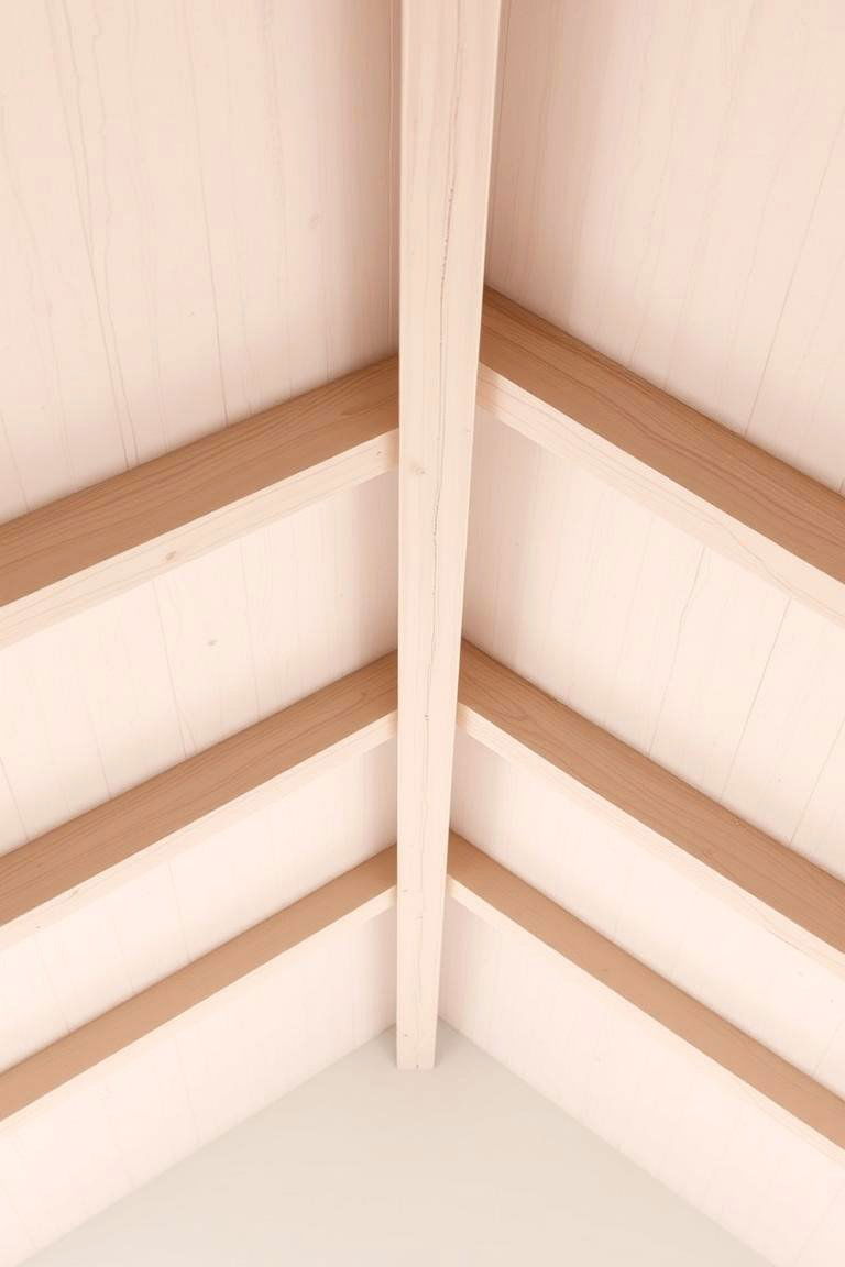 Minimalistic Beam Integration - 24 Shed Ceiling Ideas