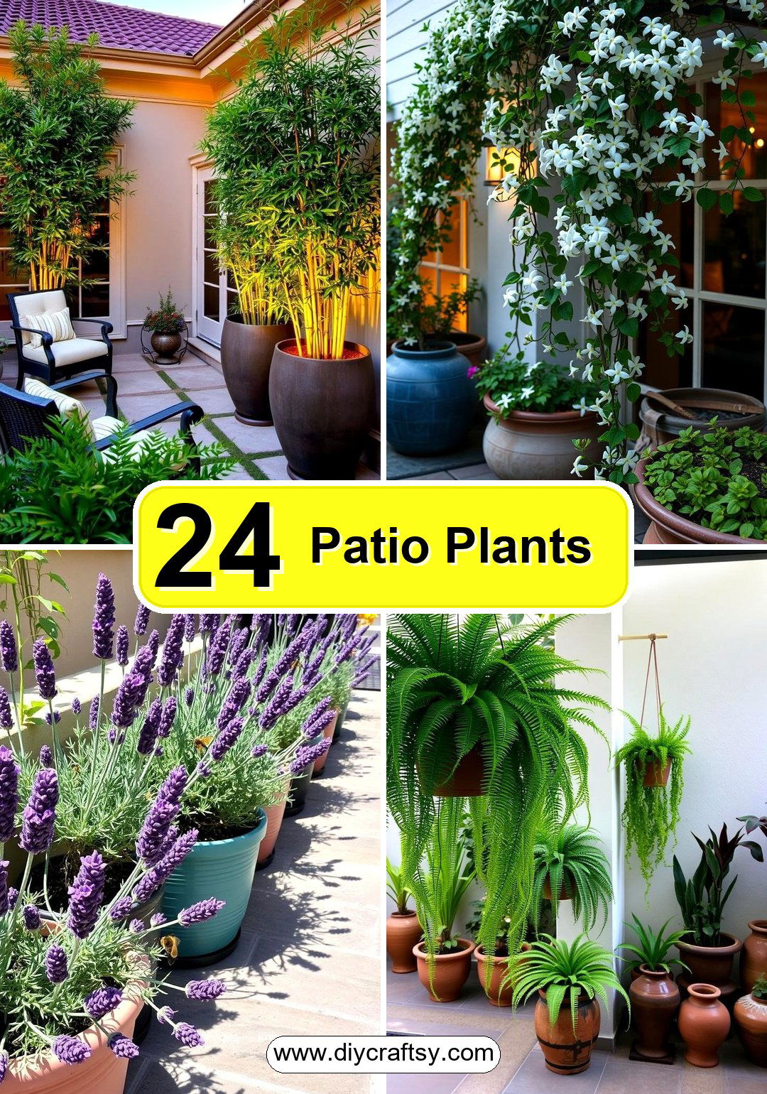 24 Best Patio Plants For Lush Outdoor Living Spaces
