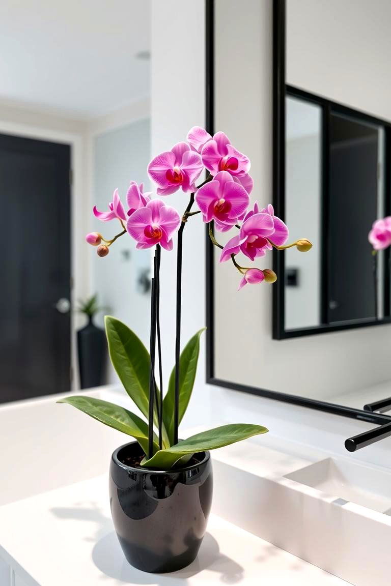 Pink Plants in Black Pots - 24 Pink and Black Bathroom Ideas