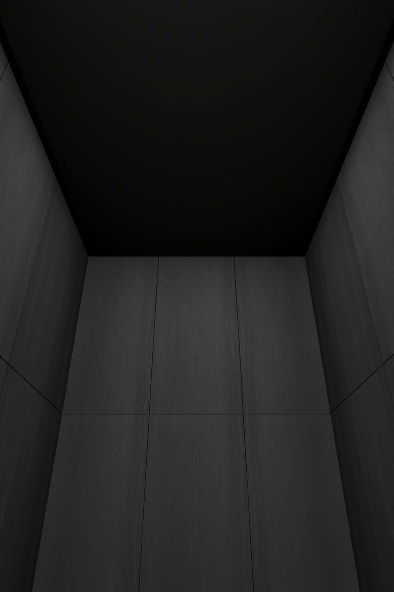 Refined Monochrome Harmony - 24 Black Ceiling With Grey Walls