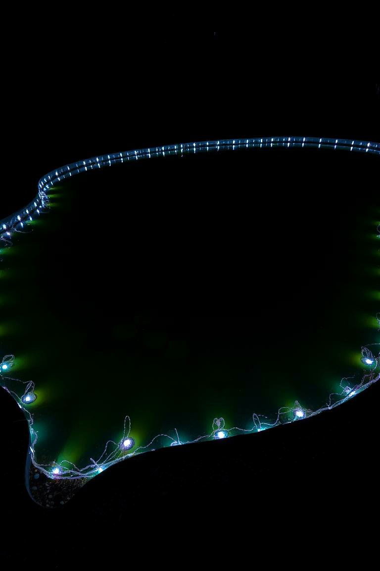 Underwater Lighting Accent - 24 Pond Edging Ideas
